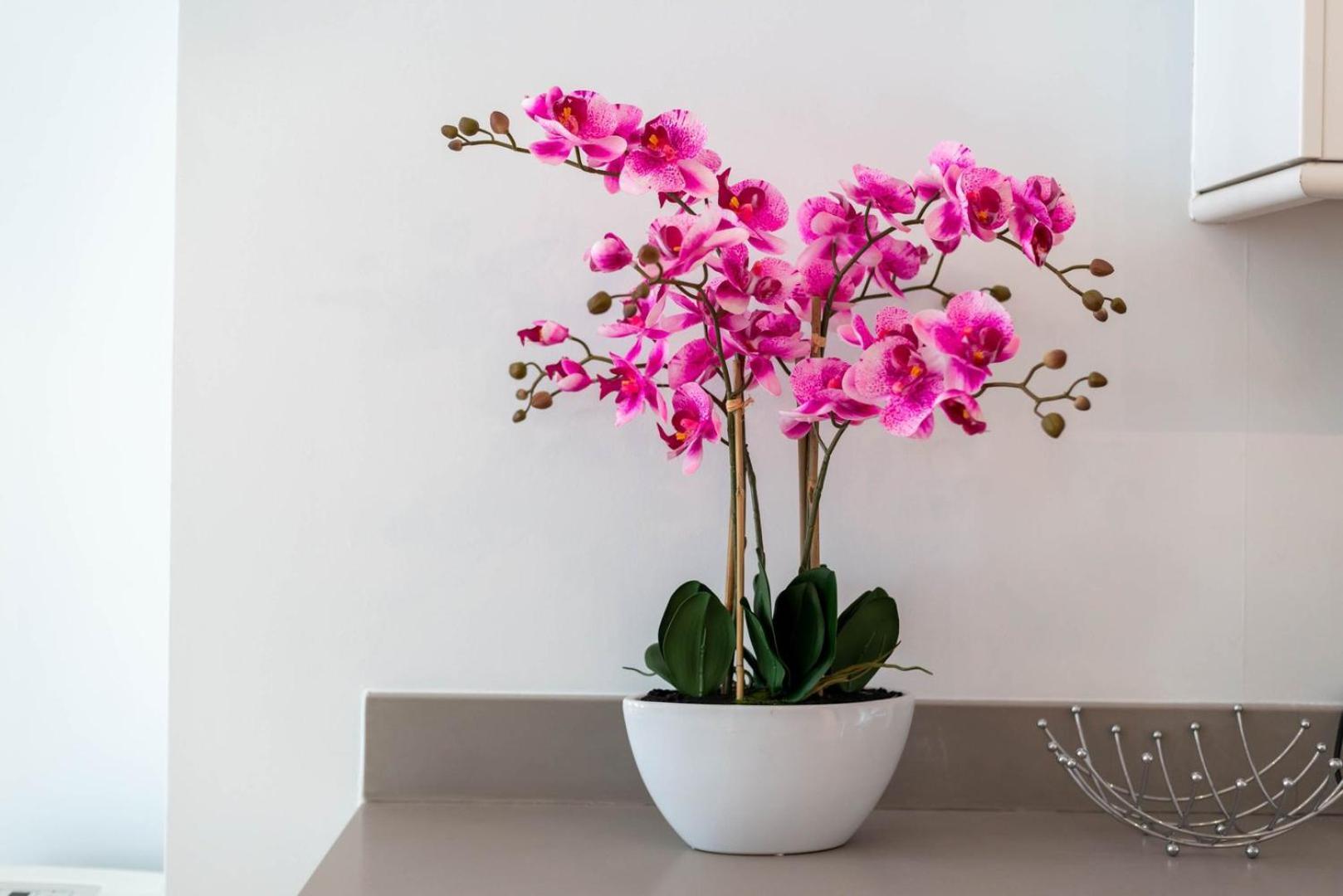 Guestready - Stunning Covent Garden 2Br Duplex Apartment London Ngoại thất bức ảnh